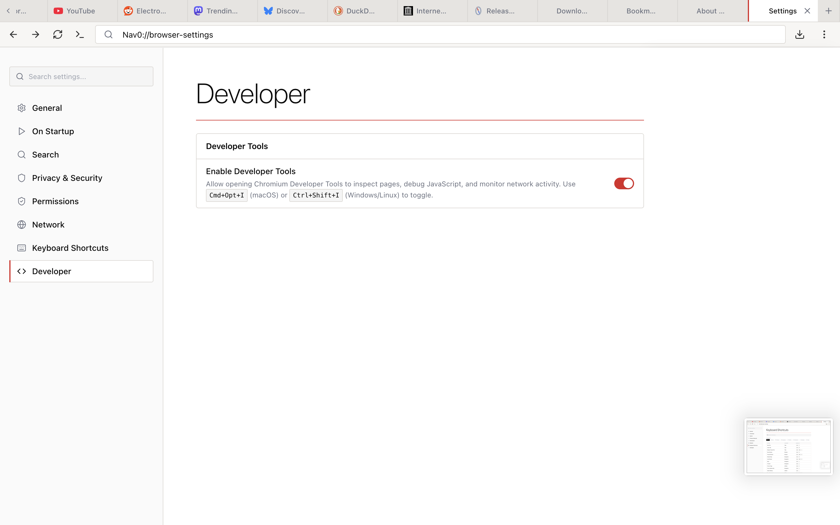 Settings — Developer with the Enable Developer Tools toggle and shortcut hint